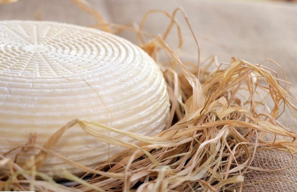 Çerkes Peyniri Nasıl üretilir? Tarihi ve daha fazlası…