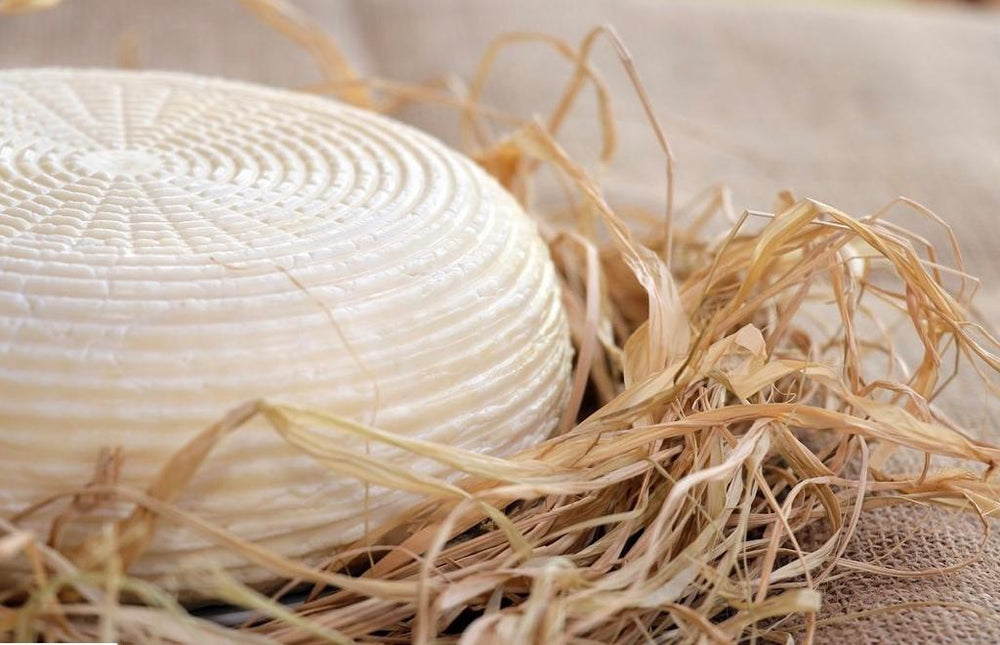 Çerkes Peyniri Nasıl üretilir? Tarihi ve daha fazlası…