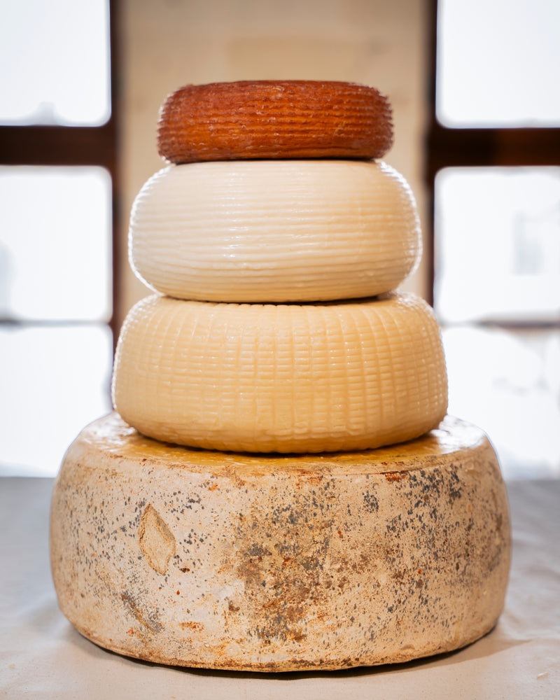 TÜM SÜT ÜRÜNLERİ